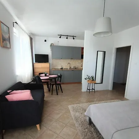 Apartament Bratyslawska Apartment